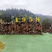 評論圖片 6