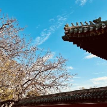 評論圖片 6