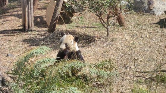 新年带娃在安吉旅游，竹博园是集自然、游学、亲子于一体的旅游景