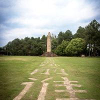 評論圖片 4