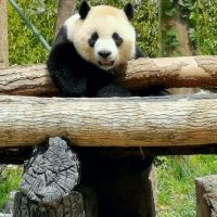 評論圖片 4