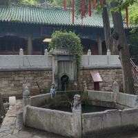 評論圖片 3