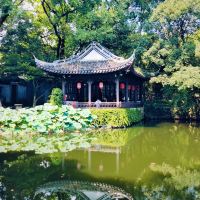 評論圖片 1