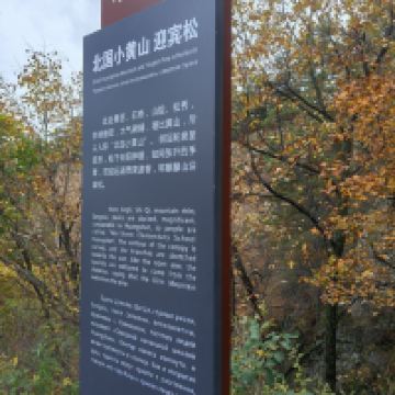 評論圖片 5