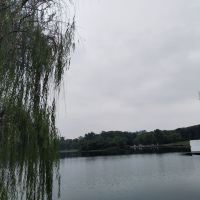 評論圖片 1