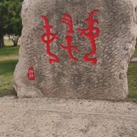 評論圖片 5