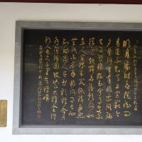 評論圖片 1