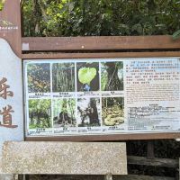 評論圖片 7