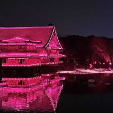 評論圖片 8