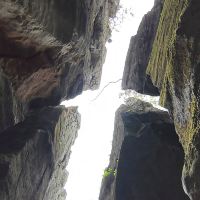 評論圖片 2