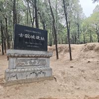 評論圖片 9