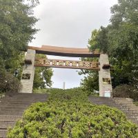 評論圖片 2