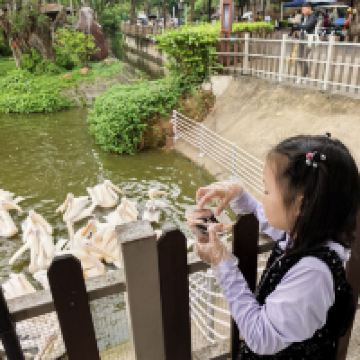 評論圖片 5