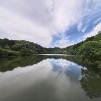 評論圖片 4
