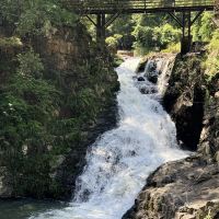 評論圖片 6