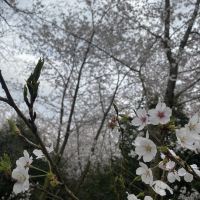 評論圖片 3