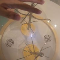 評論圖片 3
