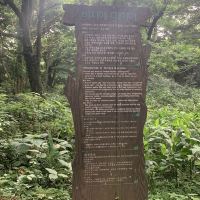 評論圖片 1