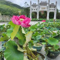 評論圖片 5