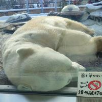 評論圖片 4
