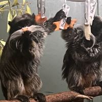 評論圖片 7