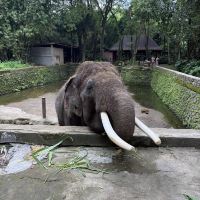 評論圖片 6