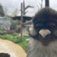 評論圖片 2
