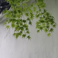 評論圖片 2