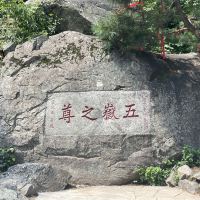 評論圖片 5