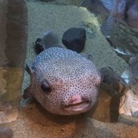 評論圖片 5