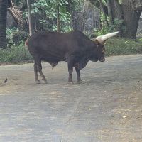 評論圖片 6