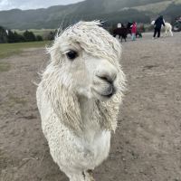 評論圖片 2