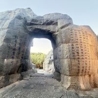 評論圖片 6