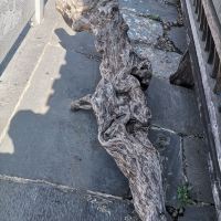 評論圖片 6