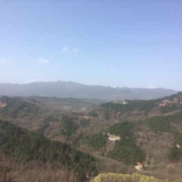 評論圖片 8