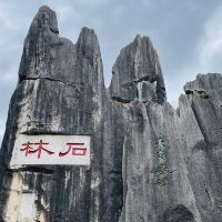 評論圖片 2