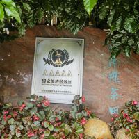評論圖片 9