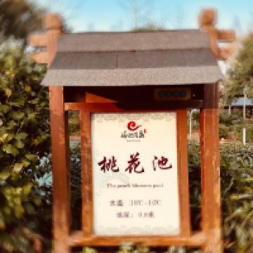 評論圖片 2