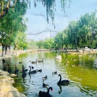 評論圖片 5