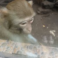 評論圖片 2