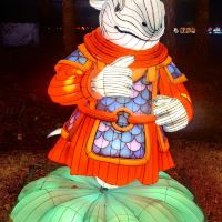 評論圖片 4