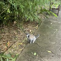 評論圖片 3