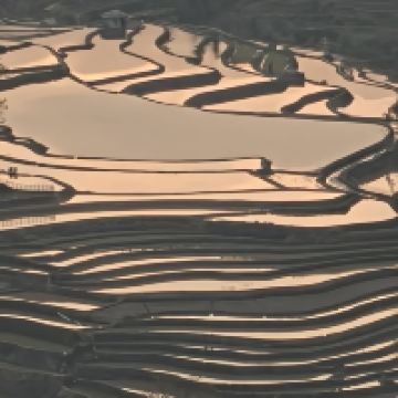 評論圖片 6