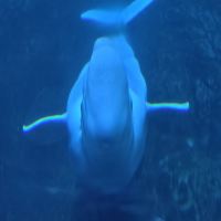 評論圖片 7