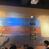 評論圖片 5