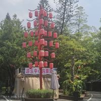 評論圖片 6