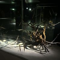 評論圖片 5