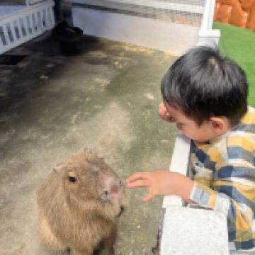 評論圖片 1