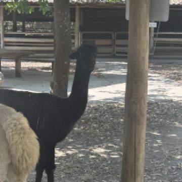 評論圖片 5