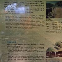評論圖片 3